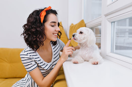 Essential Pet Care For Happy Dogs And Cats