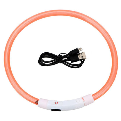 USB Rechargeable Glow In The Dark Pet Collar