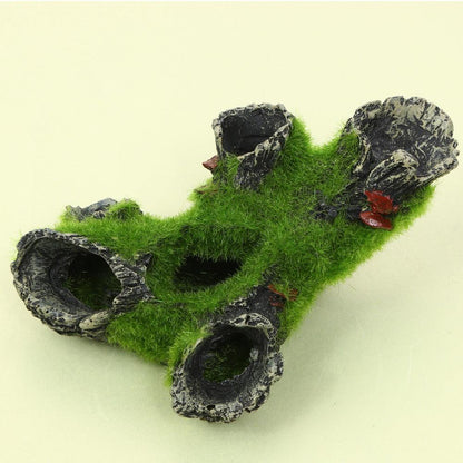 Mystic Mossy Tree Root Shrimp Pot