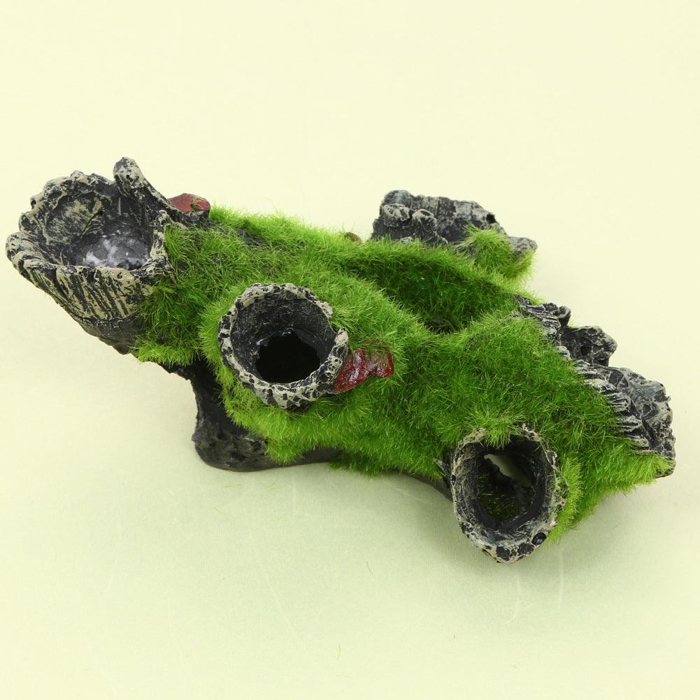 Mystic Mossy Tree Root Shrimp Pot