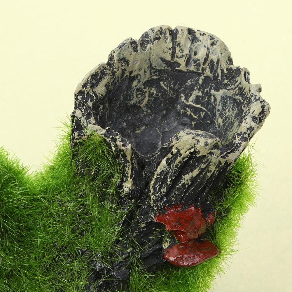 Mystic Mossy Tree Root Shrimp Pot