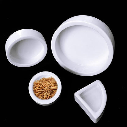 Durable Ceramic Reptile Food Bowl