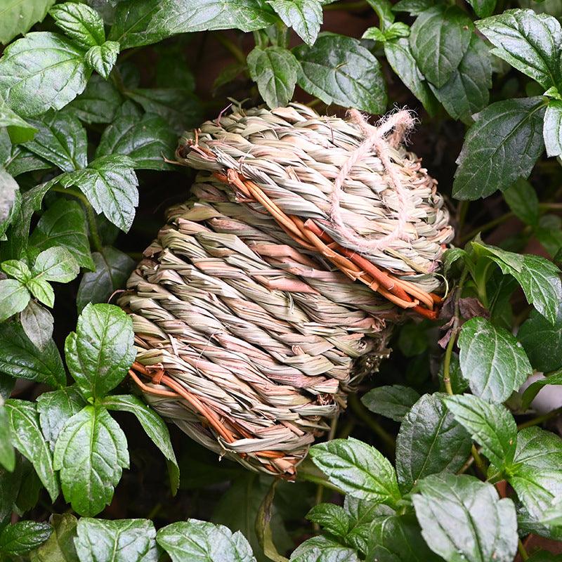 Straw Bird Sanctuary Nest