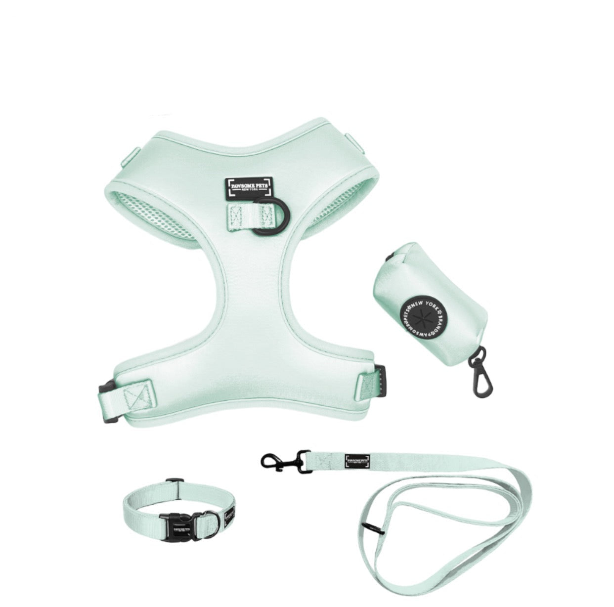Mint Green Pet Walking Bundle
