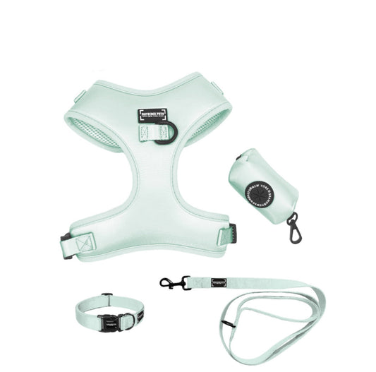 Mint Green Pet Walking Bundle