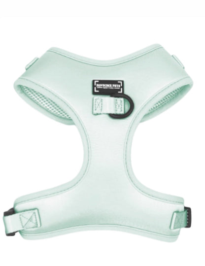 Mint Green Pet Walking Bundle