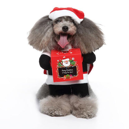 Funny Cosplay Pet Costume
