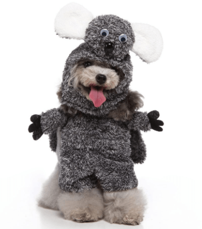 Funny Cosplay Pet Costume