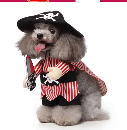 Funny Cosplay Pet Costume