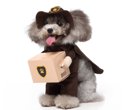 Funny Cosplay Pet Costume