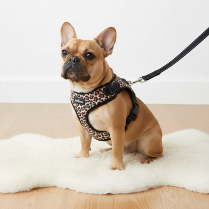 Adjustable Dog Chest Harness