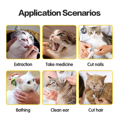 Anti Scratch And Bite Cat Travel Bag