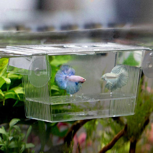 Aquarium Fish Tank Hatchery Box