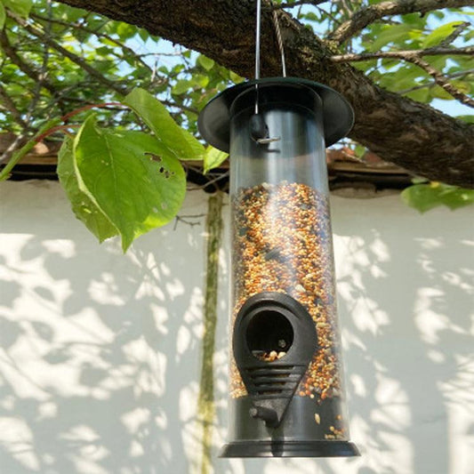 Hanging Automatic Bird Feeder