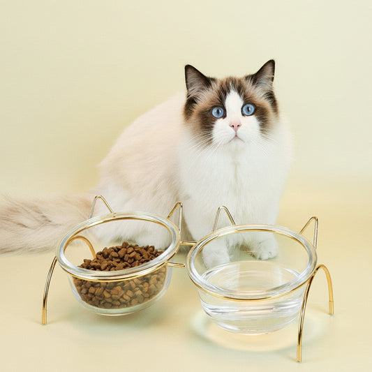 Sparkling Glass Cat Bowl With Elevated Metal Rack