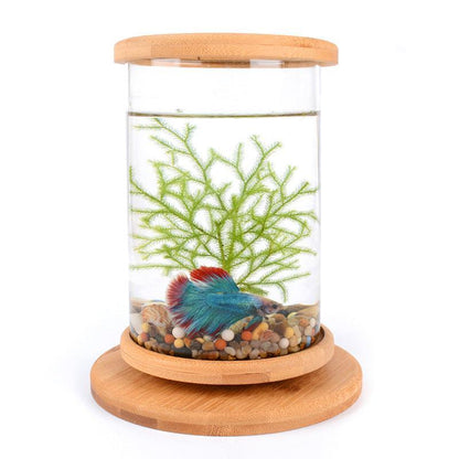 Bamboo Base Mini Glass Aquarium
