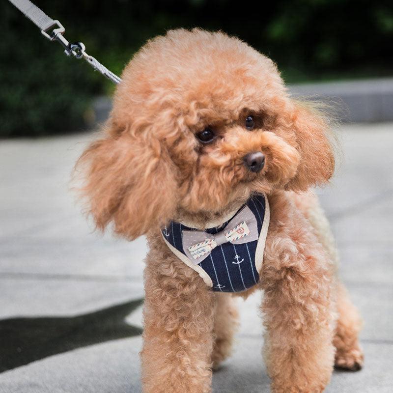 Breathable Mesh Pet Leash