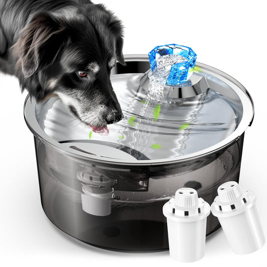 10L Dog Water Fountain