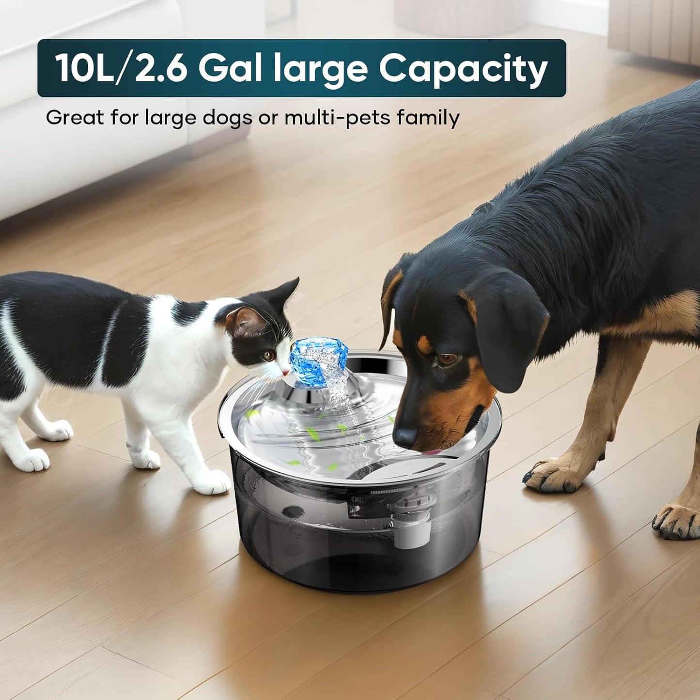 10L Dog Water Fountain