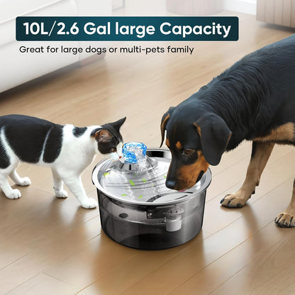 10L Dog Water Fountain