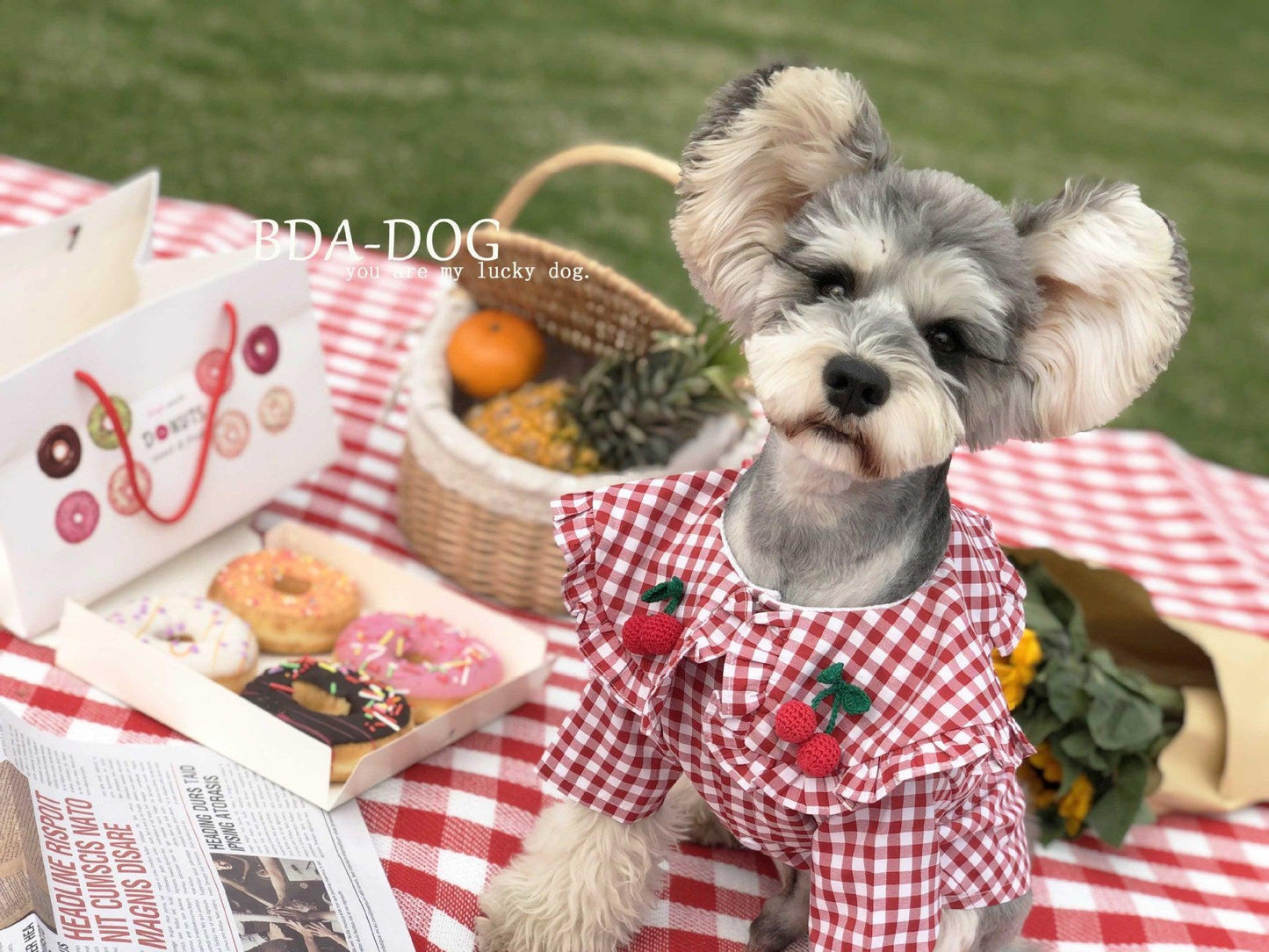 HandMade Checkered Summer Cotton Dog Shirt