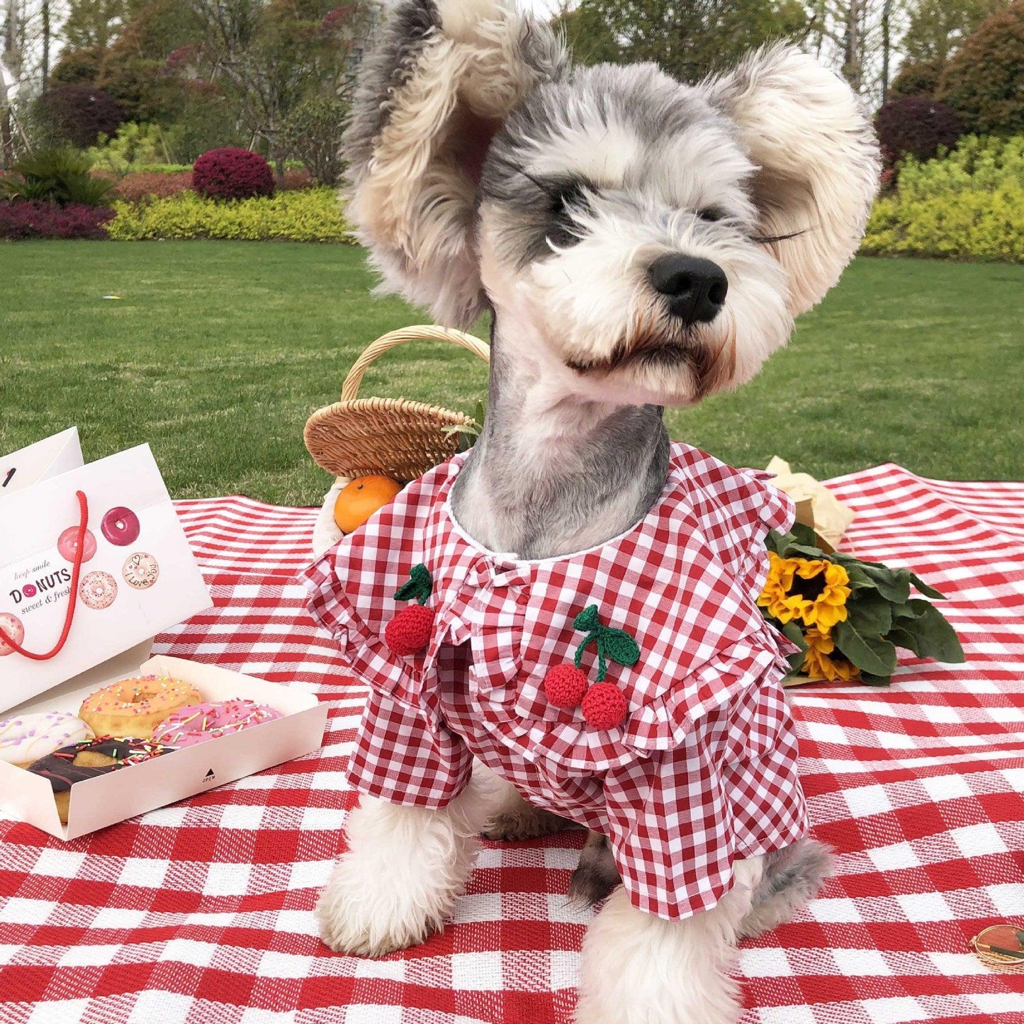 HandMade Checkered Summer Cotton Dog Shirt