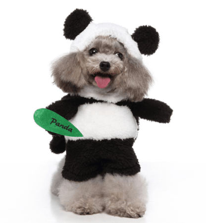 Funny Cosplay Pet Costume