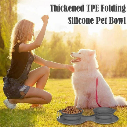 Double Collapsible Pet Feeding Bowls