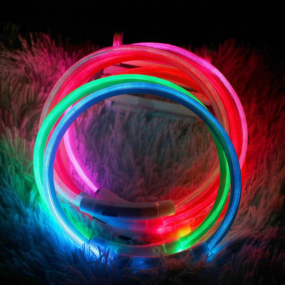 USB Rechargeable Glow In The Dark Pet Collar