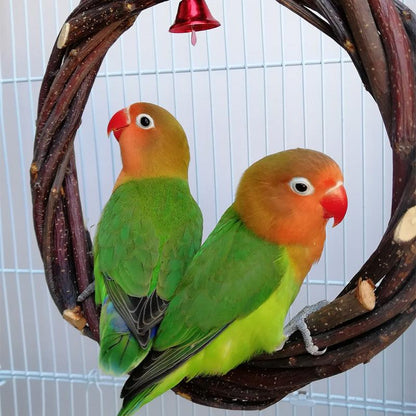 Rattan Ring Bird Cage Chewing Toy