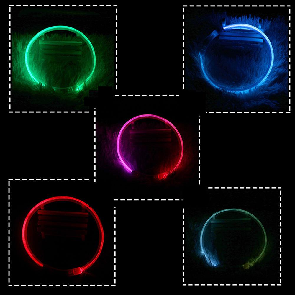 USB Rechargeable Glow In The Dark Pet Collar