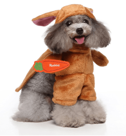 Funny Cosplay Pet Costume